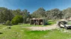333 Scrubby Creek Track, Omeo, Vic 3898-Image