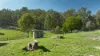333 Scrubby Creek Track, Omeo, Vic 3898-Image