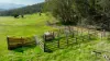 333 Scrubby Creek Track, Omeo, Vic 3898-Image