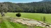 333 Scrubby Creek Track, Omeo, Vic 3898-Image