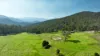 333 Scrubby Creek Track, Omeo, Vic 3898-Image