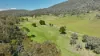 333 Scrubby Creek Track, Omeo, Vic 3898-Image