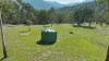 333 Scrubby Creek Track, Omeo, Vic 3898-Image