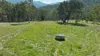 333 Scrubby Creek Track, Omeo, Vic 3898-Image