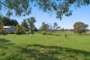 3336 Range Road Bannister via, Crookwell NSW 2583-Image