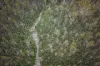 3353 Mount Darragh Road, Wyndham, NSW 2550-Image