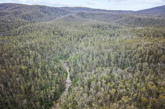 3353 Mount Darragh Road, Wyndham, NSW 2550-Image
