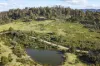 3353 Mount Darragh Road, Wyndham, NSW 2550-Image