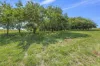 3356, Batlow NSW 2730-Image