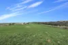 3356, Batlow NSW 2730-Image