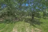 3356, Batlow NSW 2730-Image