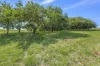 3356 Batlow Road, Batlow, NSW 2730-Image
