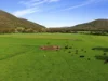 338 East Blowering Road, Tumut, NSW 2720-Image