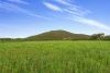 338 East Blowering Road, Tumut, NSW 2720-Image