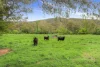 338 East Blowering Road, Tumut, NSW 2720-Image