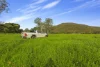 338 East Blowering Road, Tumut, NSW 2720-Image