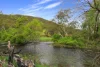 338 East Blowering Road, Tumut, NSW 2720-Image