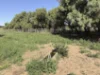 339 Butcher Road, Bookara, WA 6525-Image