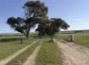 339 Butcher Road, Bookara, WA 6525-Image