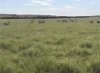 339 Butcher Road, Bookara, WA 6525-Image