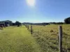 339 Watson Road, Ellinjaa QLD 4886-Image