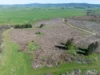 34 Ikes Mountain Road, Mannus, NSW 2653-Image