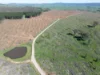34 Ikes Mountain Road, Mannus, NSW 2653-Image