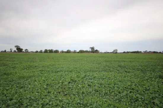 34 Stone Lane, Rochester, Vic 3561