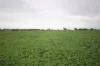 34 Stone Lane, Rochester, Vic 3561-Image