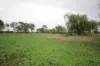 34 Stone Lane, Rochester, Vic 3561-Image