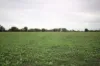 34 Stone Lane, Rochester, Vic 3561-Image