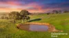 341 Wiles Firetrack, Wistow, SA 5251