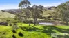341 Wiles Firetrack, Wistow, SA 5251-Image