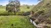 341 Wiles Firetrack, Wistow, SA 5251-Image