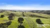 341 Wiles Firetrack, Wistow, SA 5251-Image