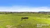 341 Wiles Firetrack, Wistow, SA 5251-Image