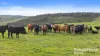 341 Wiles Firetrack, Wistow, SA 5251-Image