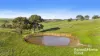 341 Wiles Firetrack, Wistow, SA 5251-Image