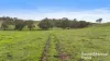 341 Wiles Firetrack, Wistow, SA 5251-Image