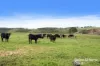 341 Wiles Firetrack, Wistow, SA 5251-Image