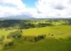 343 Gadaloff Road, Butchers Creek QLD 4885-Image