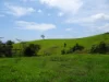 343 Gadaloff Road, Butchers Creek QLD 4885-Image