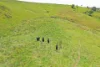 343 Gadaloff Road, Butchers Creek QLD 4885-Image