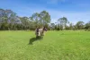 343 Mandalong Road, Mandalong, NSW 2264-Image