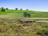 347 Summerland Way, Kilgra, NSW 2474-Image