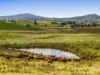 347 Summerland Way, Kilgra, NSW 2474-Image