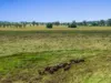 347 Summerland Way, Kilgra, NSW 2474-Image
