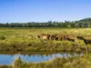 347 Summerland Way, Kilgra, NSW 2474-Image
