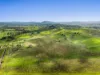 347 Summerland Way, Kilgra, NSW 2474-Image