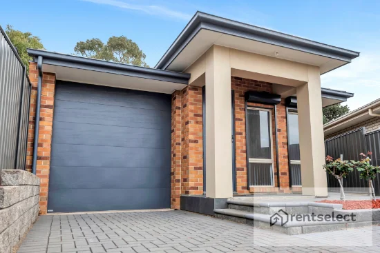 35 Hardy Court, Paradise, SA 5075